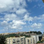 img-3049-1717523687