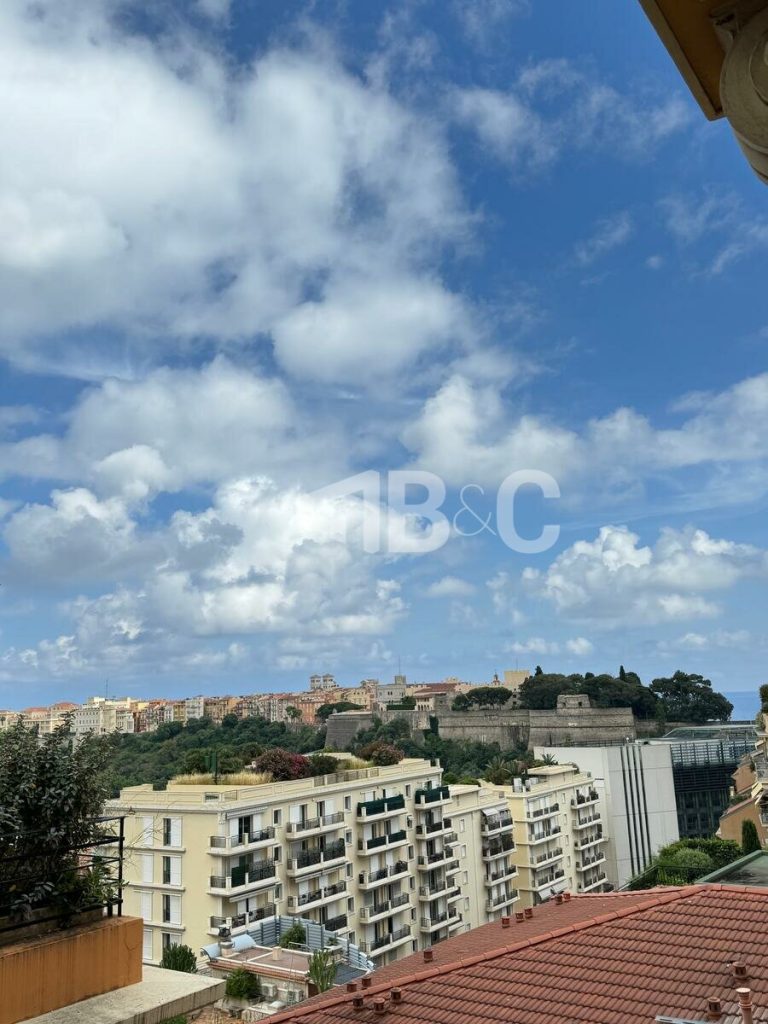 FOR SALE – BOURGEOIS 4-ROOM APARTMENT WITH VIEW OF..