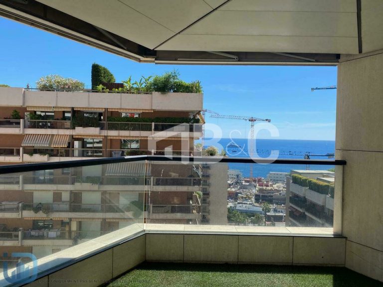 BEAUTIFUL 5-ROOM APARTMENT – PRINCE DE GALLES, MON..