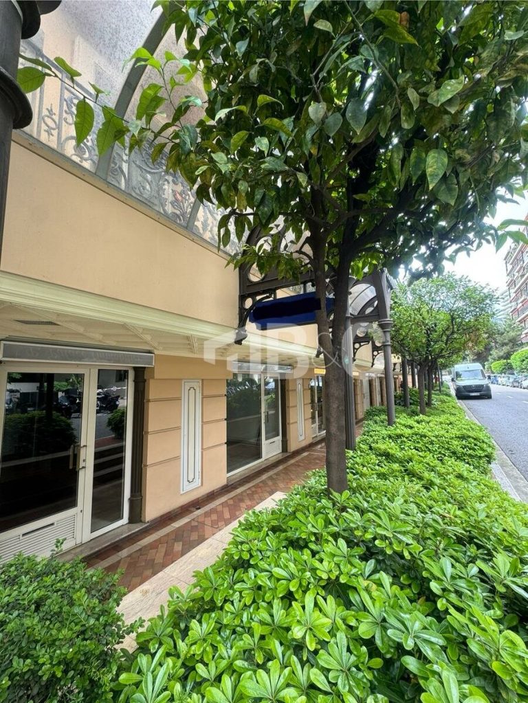 Prestigious Commercial Premises – Carré d’Or, Le M..