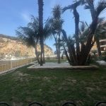 img-8659-1742313453