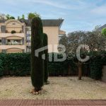 jeremyjakubo-074a2624-1740391692
