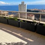 patio-palace-vue-1-1709821912