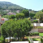 sdc15379-1691677022