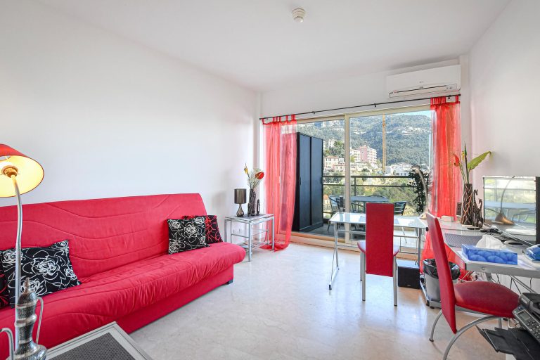 FOR SALE – RENOVATED STUDIO WITH VIEW – ANNONCIADE..