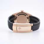 watch_174717158485641