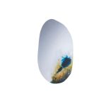 2022-02-09_11-21-23_COMETE_MIROIR_1.jpeg