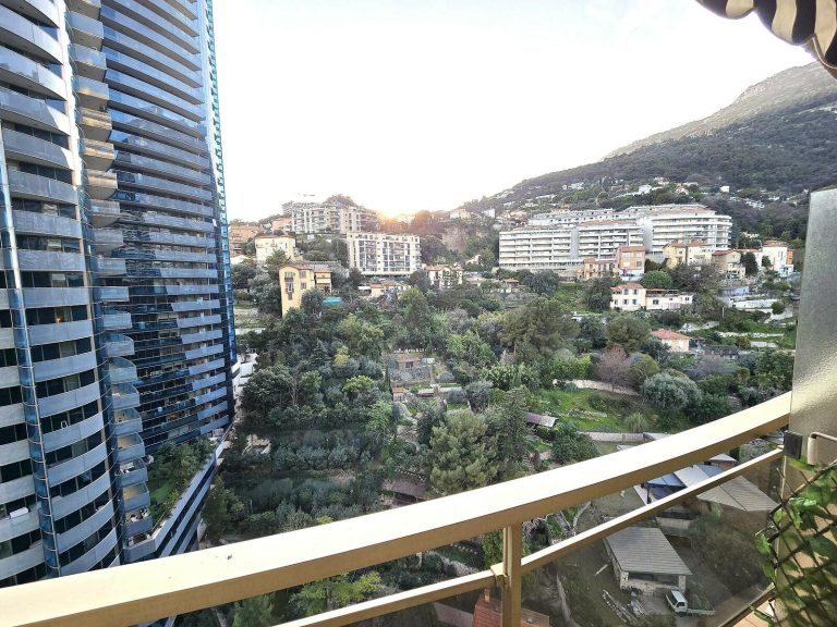 FOR SALE – Beautiful Renovated Studio – Annonciade..