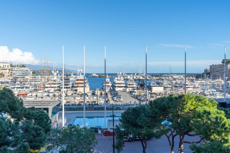 For Sale – Apartment with Port View, Palais Héracl..