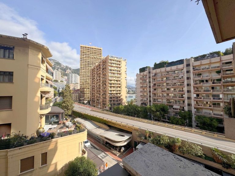 For Sale – Two-Room Apartment in Les Acanthes, Car..