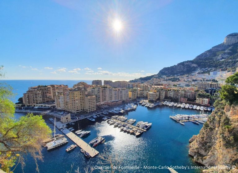 For Sale – 2-Room Apartment, Fontvieille (Mixed Us..