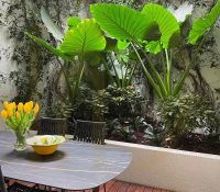 Beautiful duplex with terrace garden