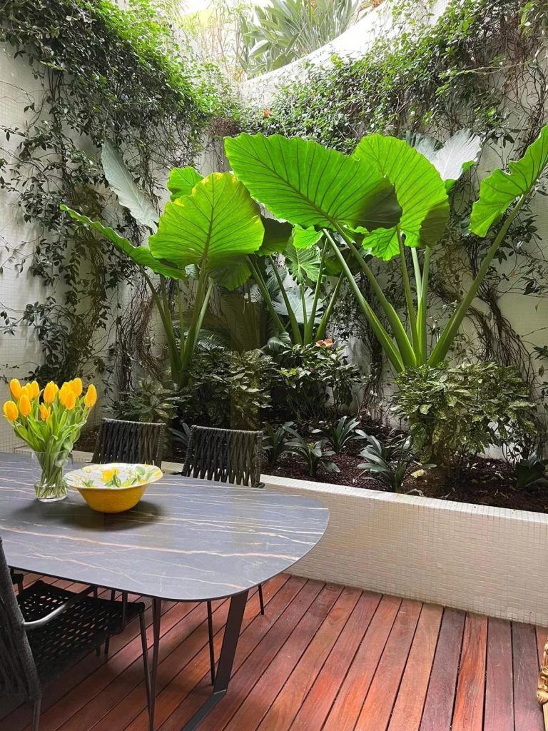 Beautiful duplex with terrace garden
