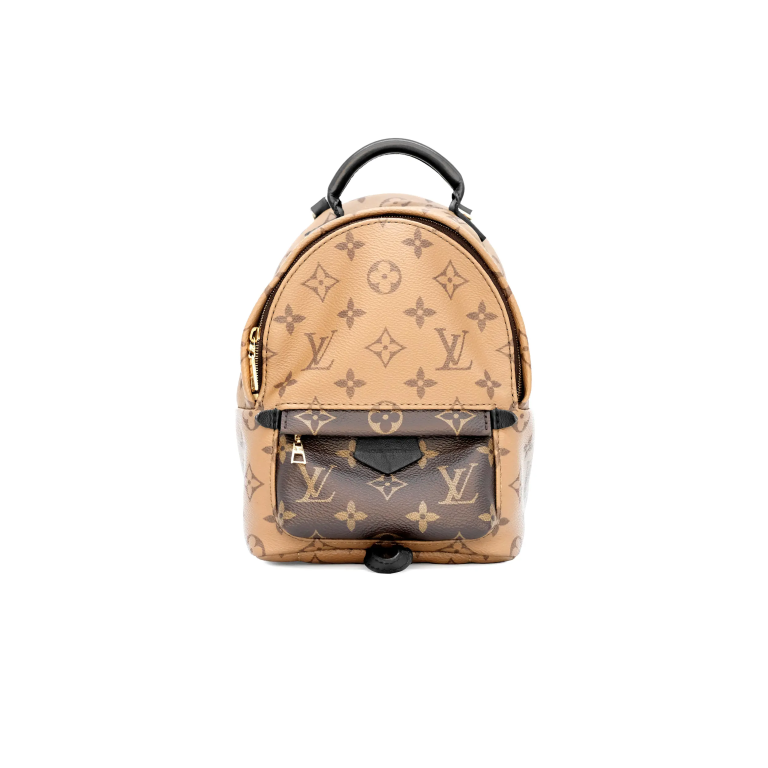 Louis Vuitton Palm Springs Mini Backpack – Reverse..