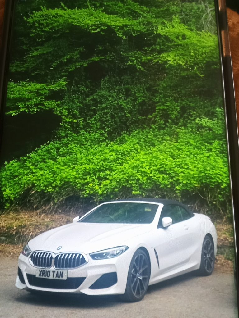 Key Features:
3.0L TwinPower Turbo Petrol Engine

..