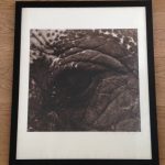 IMG_4850.jpeg
