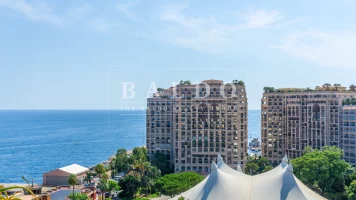 RENOVATED HIGH-FLOOR APARTMENT IN FONTVIEILLE
€8,5..