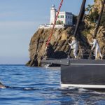 Mindfulness-dolphin-700×467-1