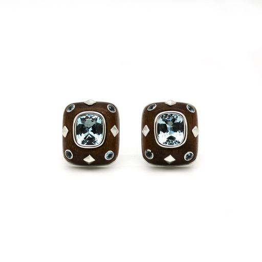 Trianon Paris Earrings – Aquamarine & Snakewood

M..