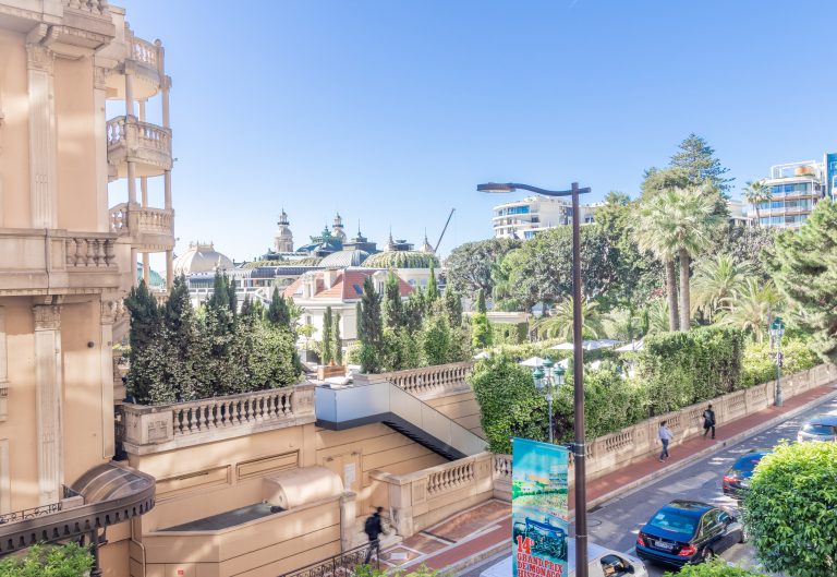 FOR SALE – Les Floralies – Renovated Studio near C..
