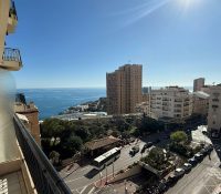 Renovated 2-Room Apartment – Le Continental, Monte..