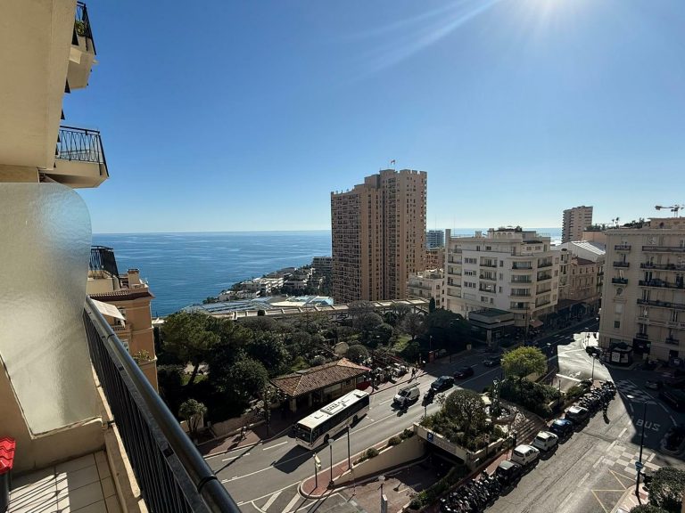 Renovated 2-Room Apartment – Le Continental, Monte..