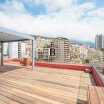 terrasse-lotus-bleu-barnes-monaco-1749220419