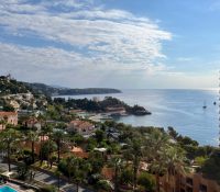 Magnificent 5/6-Room Apartment – Terrasses du Parc..