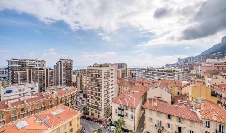 FOR SALE – MONACO – MONTE-CARLO – LE MILLEFIORI
€5..