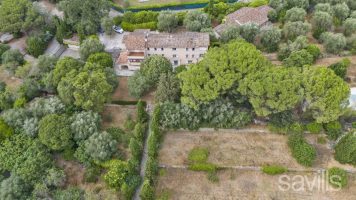 Character property for renovation