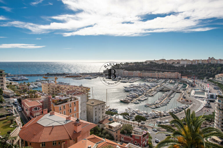 For Sale – Monte-Carlo – Master Apartment with Sea..