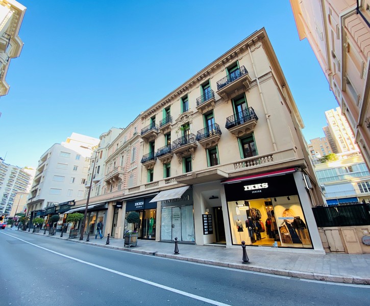 4-ROOM APARTMENT WITH TERRACE – AMBASSADOR, MONTE ..