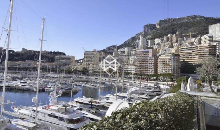 FOR SALE – 1-BEDROOM APARTMENT WITH PORT VIEW – MO..