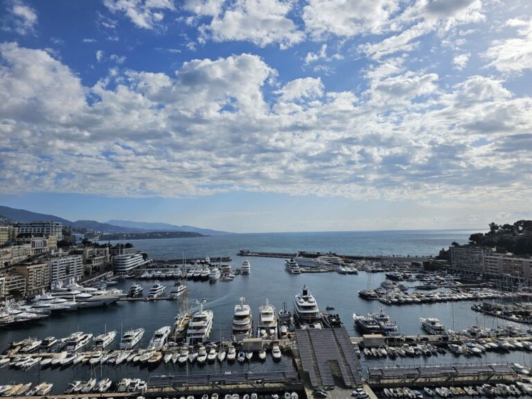 FOR SALE – MAGNIFICENT DUPLEX ROOF APARTMENT – POR..