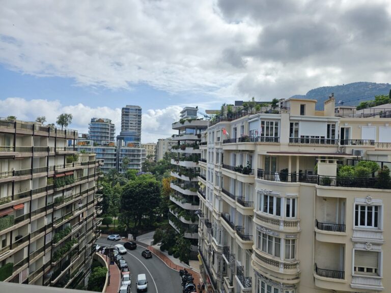 FOR SALE – ELEGANT APARTMENT IN THE HEART OF MONAC..