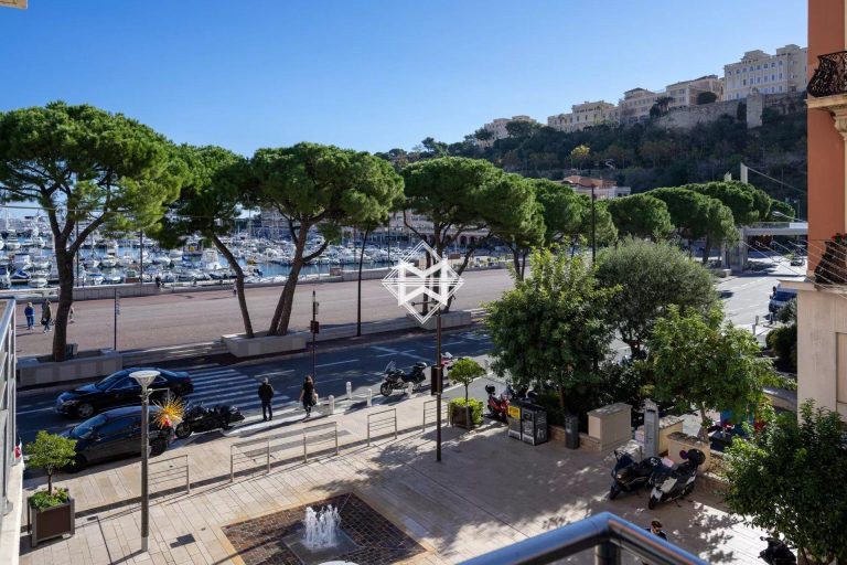 FOR SALE – RENOVATED 2-BEDROOM APARTMENT IN LE PET..