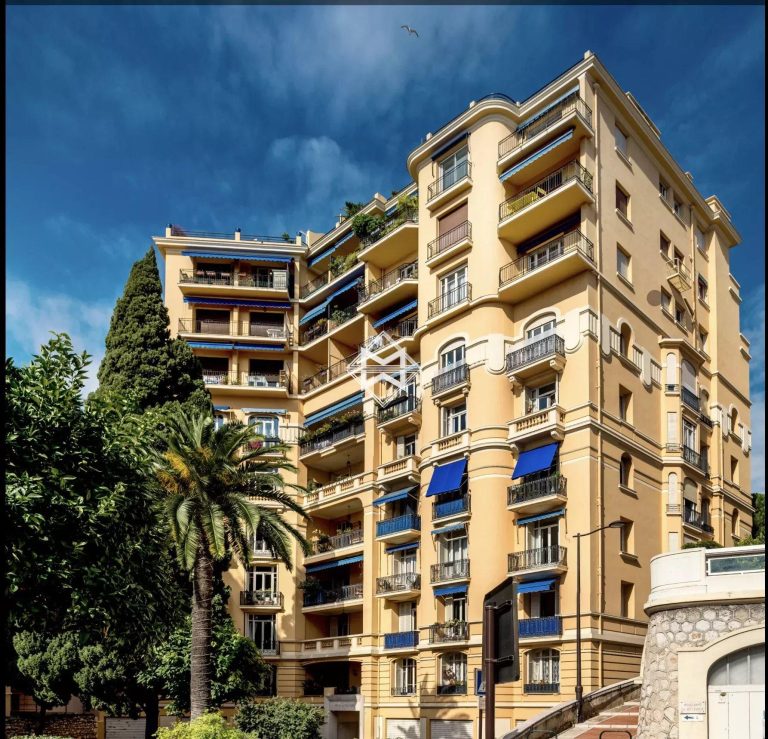 FOR SALE – PENTHOUSE WITH PANORAMIC VIEWS IN MONEG..