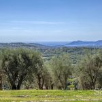 Panoramic sea view. – Gallery 6