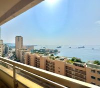 LE CHÂTEAU AMIRAL – 2-ROOM APARTMENT WITH SUPERB S..