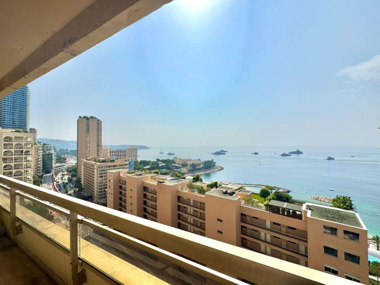LE CHÂTEAU AMIRAL – 2-ROOM APARTMENT WITH SUPERB S..