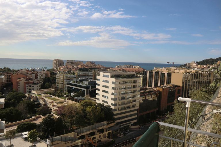FOR SALE – CHARMING APARTMENT UNDER LAW 1291
Price..