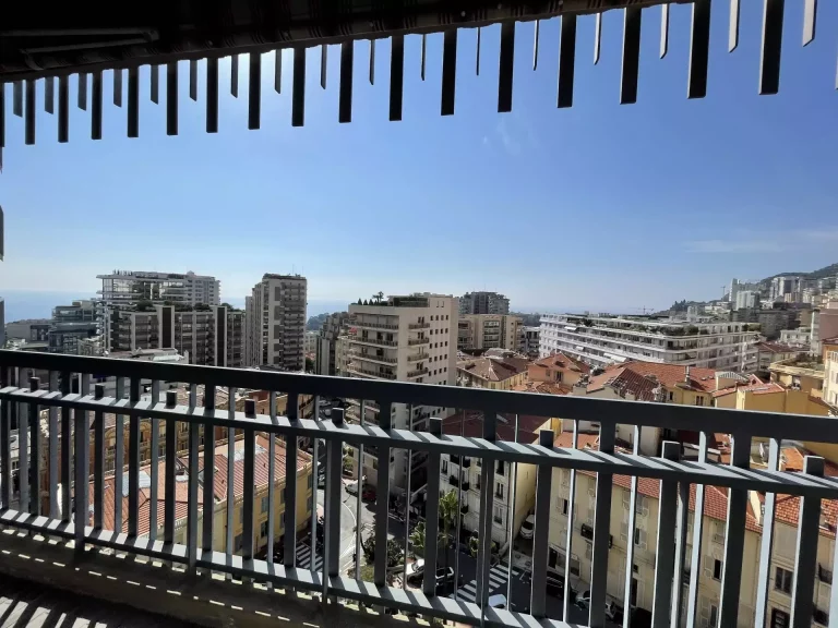 Monte-Carlo – Renovated 3-Room Apartment in Millef..