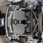 IMG_6491-scaled-1