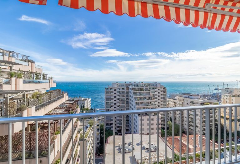 RENOVATED 3-ROOM APARTMENT WITH SEA VIEW – SAINT R..