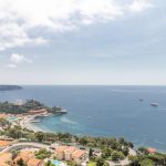 MIELLS-apartment-monaco-large-apartment-in-parc-saint-roman-vendre-MP-1410-105163