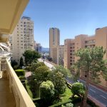 MIELLS-apartment-monaco-modern-and-central-1-bedroom-parking-space-concierge-vendre-MP-2768-105836