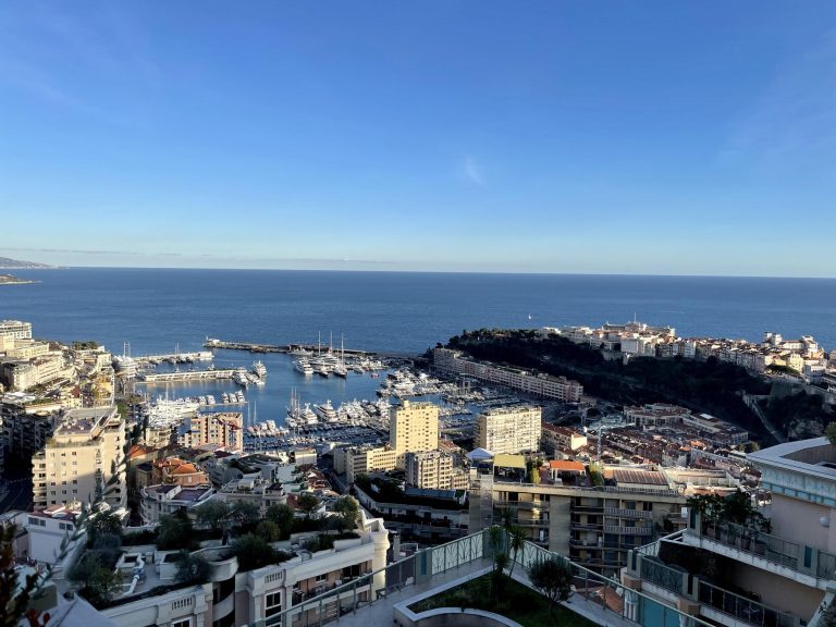 PENTHOUSE WITH PANORAMIC ROOF TERRACE – LES MONEGH..
