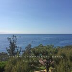 PHOTO-VUE-CD-1-MODIFIEE