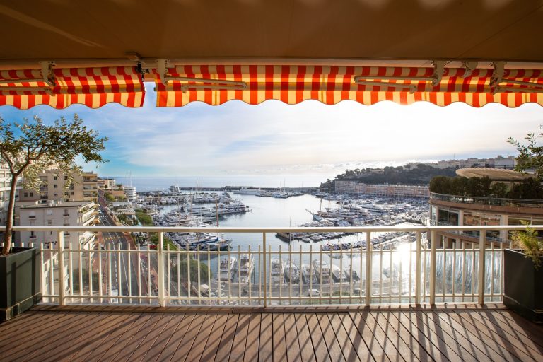 PANORAMA – FRONT-LINE PORT VIEW WITH F1 GRAND PRIX..