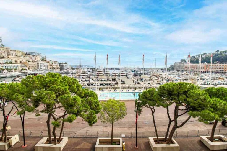 FOR SALE – 1-BEDROOM APARTMENT WITH HARBOUR & F1 V..